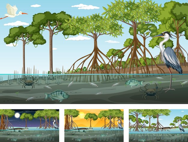 動物とのさまざまなマングローブの森の風景のシーン