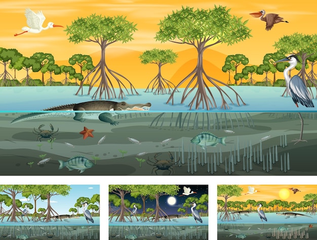 Diverse scene di paesaggi di foreste di mangrovie con animali