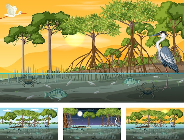 Vettore gratuito diverse scene di paesaggi di foreste di mangrovie con animali