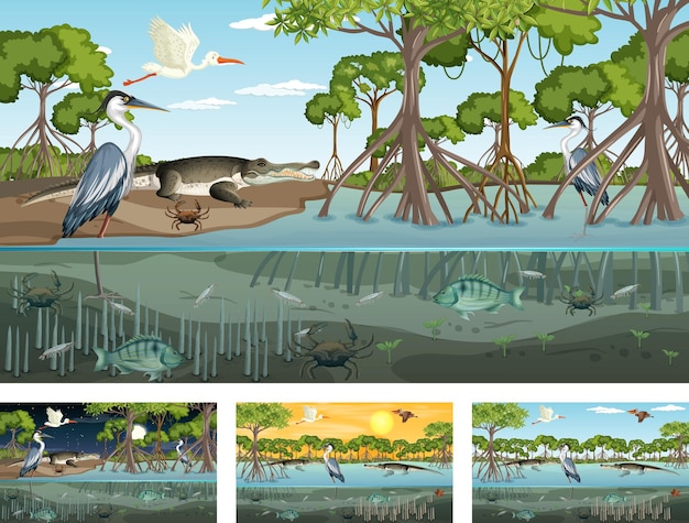 動物とのさまざまなマングローブの森の風景のシーン