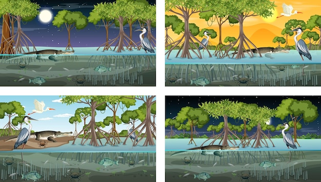 Different mangrove forest landscape scenes with various animals