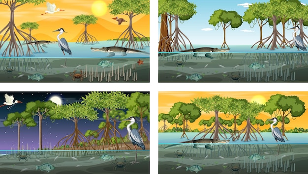 Vettore gratuito diverse scene di paesaggi di foreste di mangrovie con vari animali