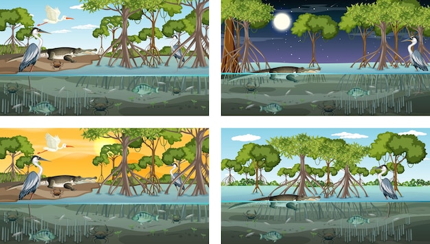 Vettore gratuito diverse scene di paesaggi di foreste di mangrovie con vari animali