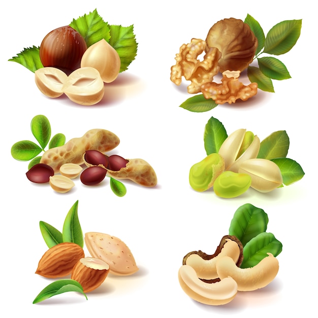 Free vector different nuts realistic set