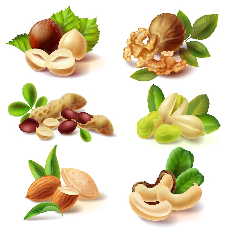 Free Vector different nuts realistic set