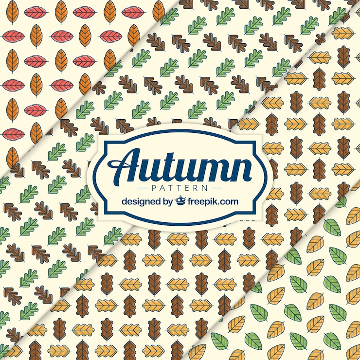 Free Vector different patterns with autumn leaves