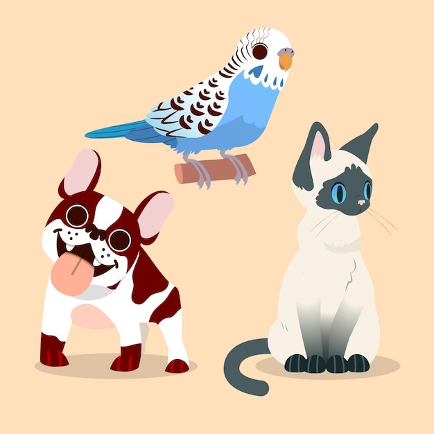 Different pets concept