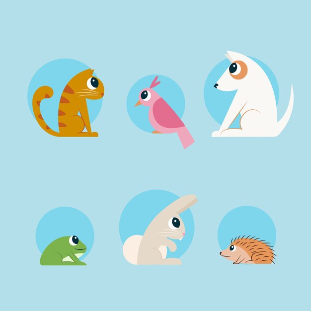 Different pets concept