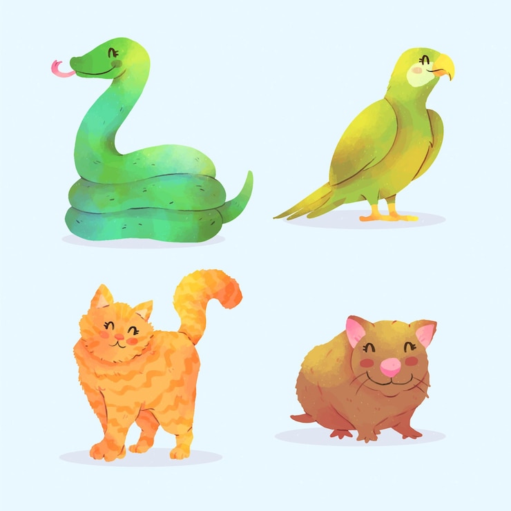무료 Vector 다른 애완 동물 개념