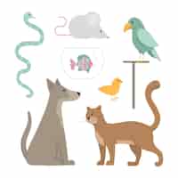 Free vector different pets conept