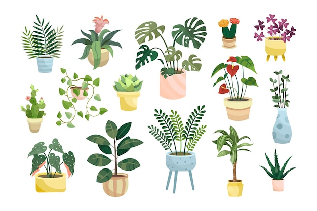 무료 벡터 다른 화분에 심은 houseplants 평면 벡터 일러스트 세트입니다. 화분이나 꽃병에 있는 실내 꽃이나 식물, 알로카시아, 흰색 배경에 격리된 화분에 있는 베고니아. 인테리어, 도시 정글 개념