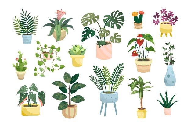 Different potted houseplants flat vector illustrations set. Indoor flowers or plants in flowerpots or vases, alocasia, begonia in pots isolated on white background. Interior, urban jungle concept