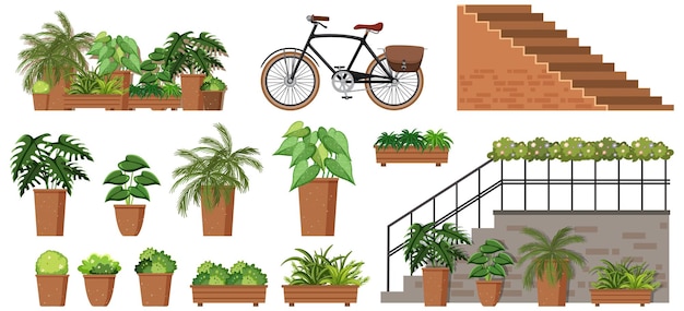 Free vector different potted plants and stairs