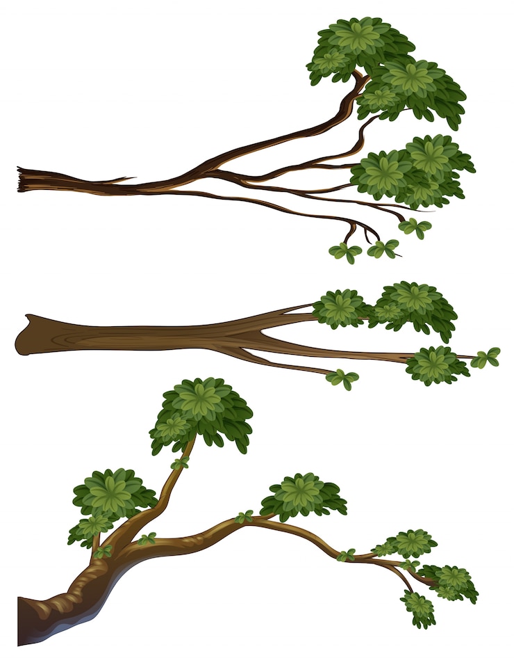 Free Vector different shapes of branches