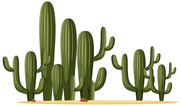 Vettore gratuito diverse forme di cactus in un gruppo