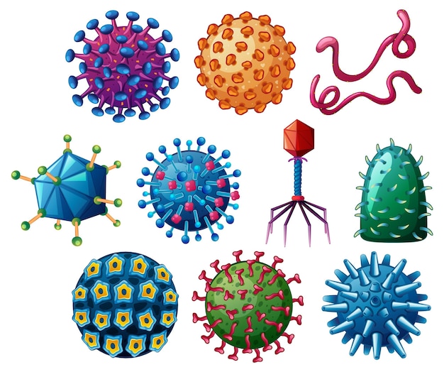 Free vector different shapes of viruses