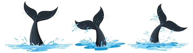 Free vector different tails of whale in the water