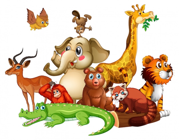 Free vector different types of animals on white