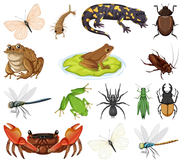 Free vector different types of bugs and animals