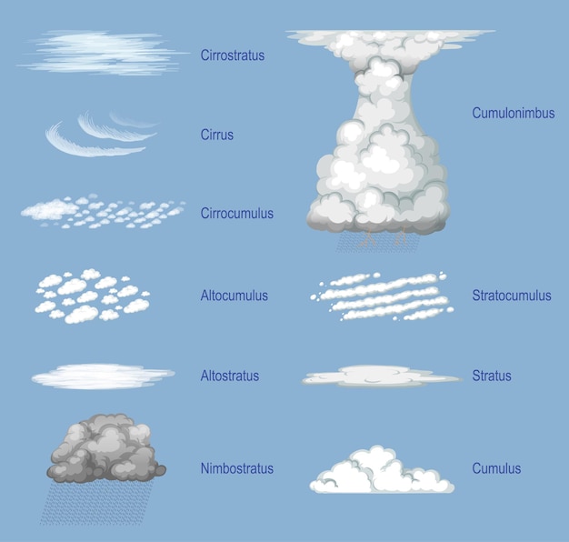 Free vector the different types of clouds with names