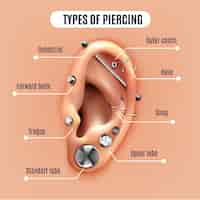 Free vector different types of ear piercing realistic poster with infographic elements vector illustration