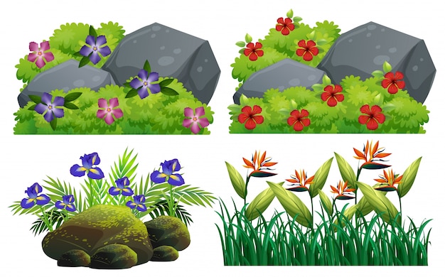 Free vector different types of flowers in bush