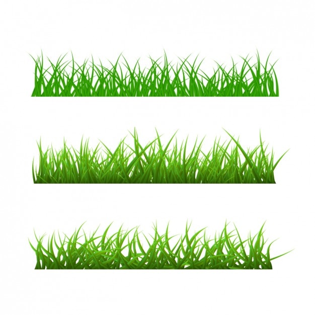 Different types of grass