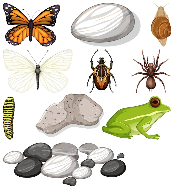 Free vector different types of insect with nature elements