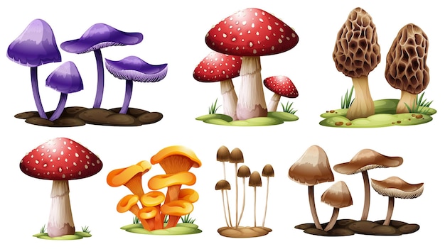 免费矢量不同类型的蘑菇