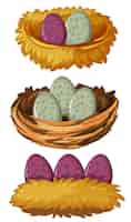 Free vector different types of nests and eggs