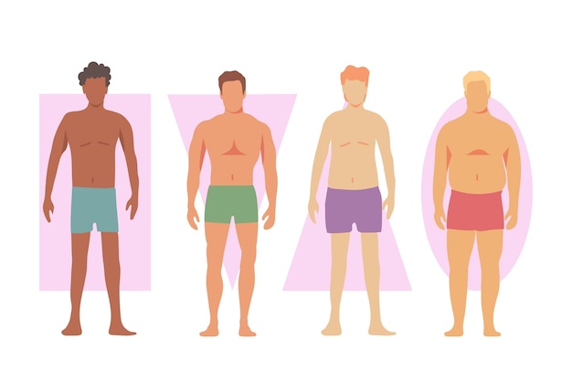 Бесплатное векторное изображение Различные формы мужского тела