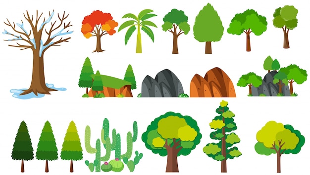 木の異なる種類の