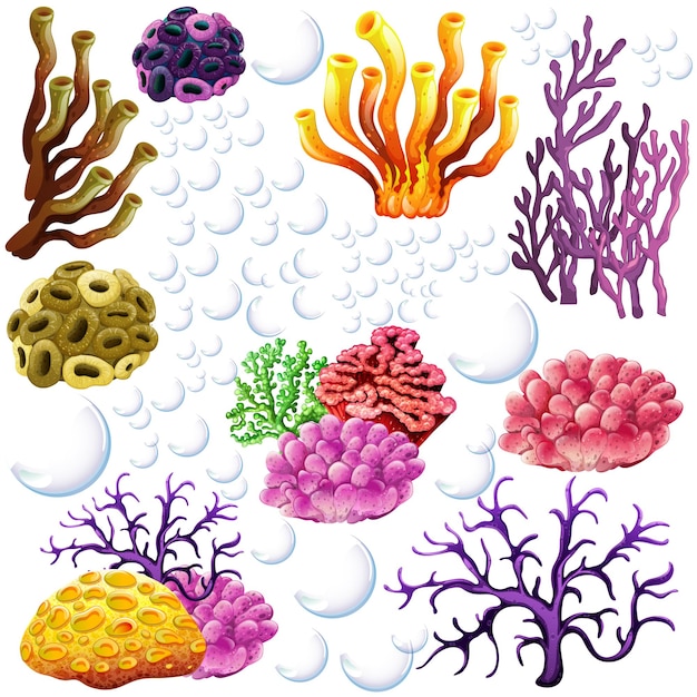 Free Vector | Different colors of coral reef