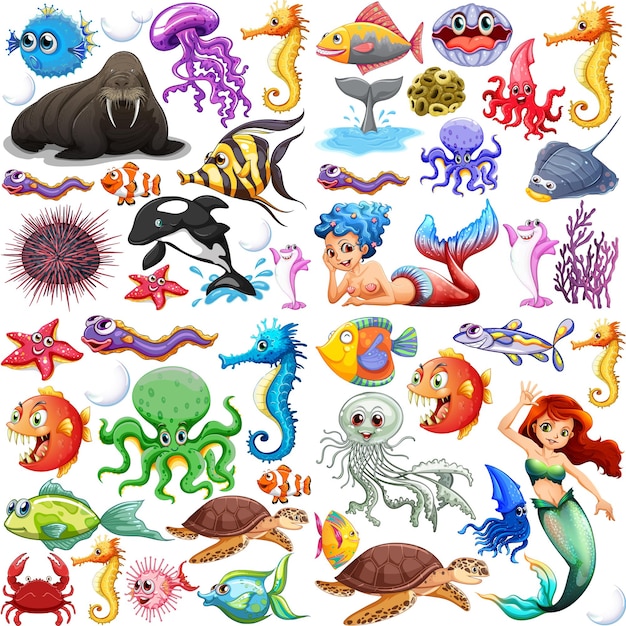 Different types of sea animals