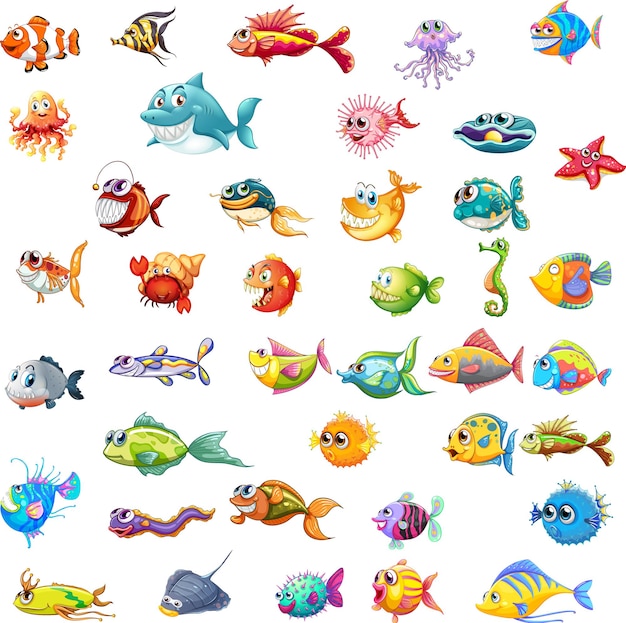 Different types of sea animals