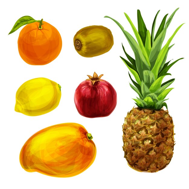 Different watercolor fruits