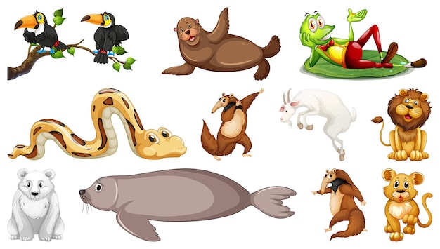 Different wild animals on white background