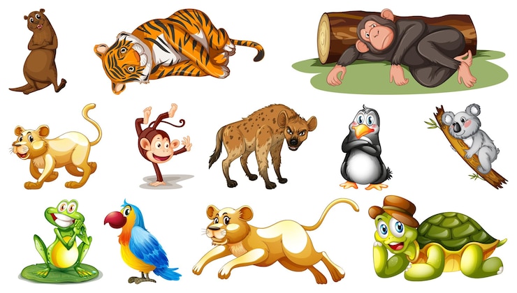 मुफ़्त वेक्टर different wild animals on white background