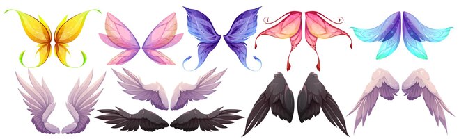 Different wings of fairy butterfly bird angel