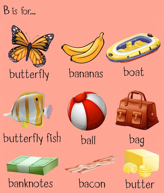 Free vector different words for alphabet b