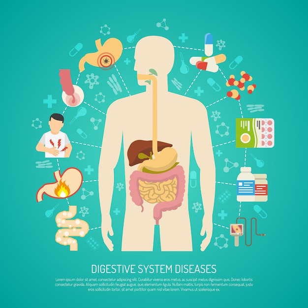 Digestive System Diseases Illustration 