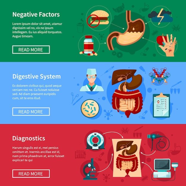 無料ベクター 消化器系フラットバナーセット