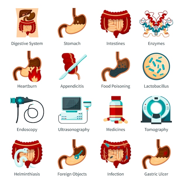 Free vector digestive system flat icon set