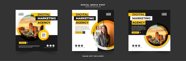 Digital marketing business social media post with circle frame collection