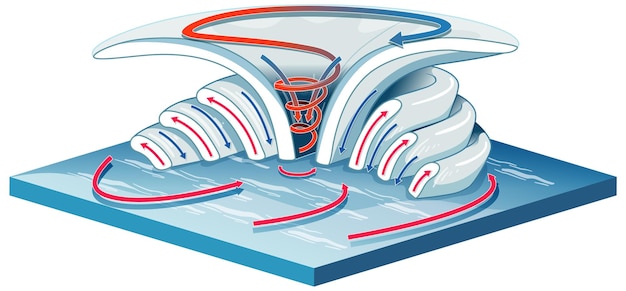 Free vector digram showing vortex formation for education