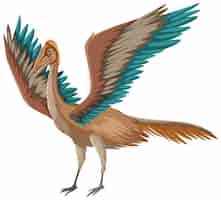 Vettore gratuito un dinosauro archaeopteryx su sfondo bianco
