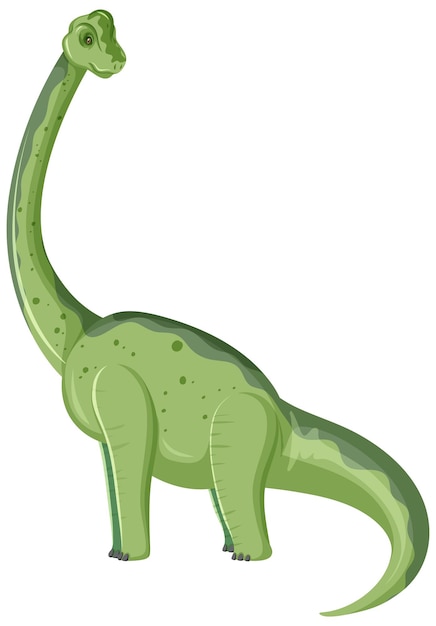 A dinosaur brachiosaurus on white background