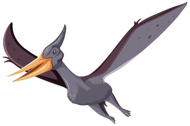 A dinosaur pteranodon on white background