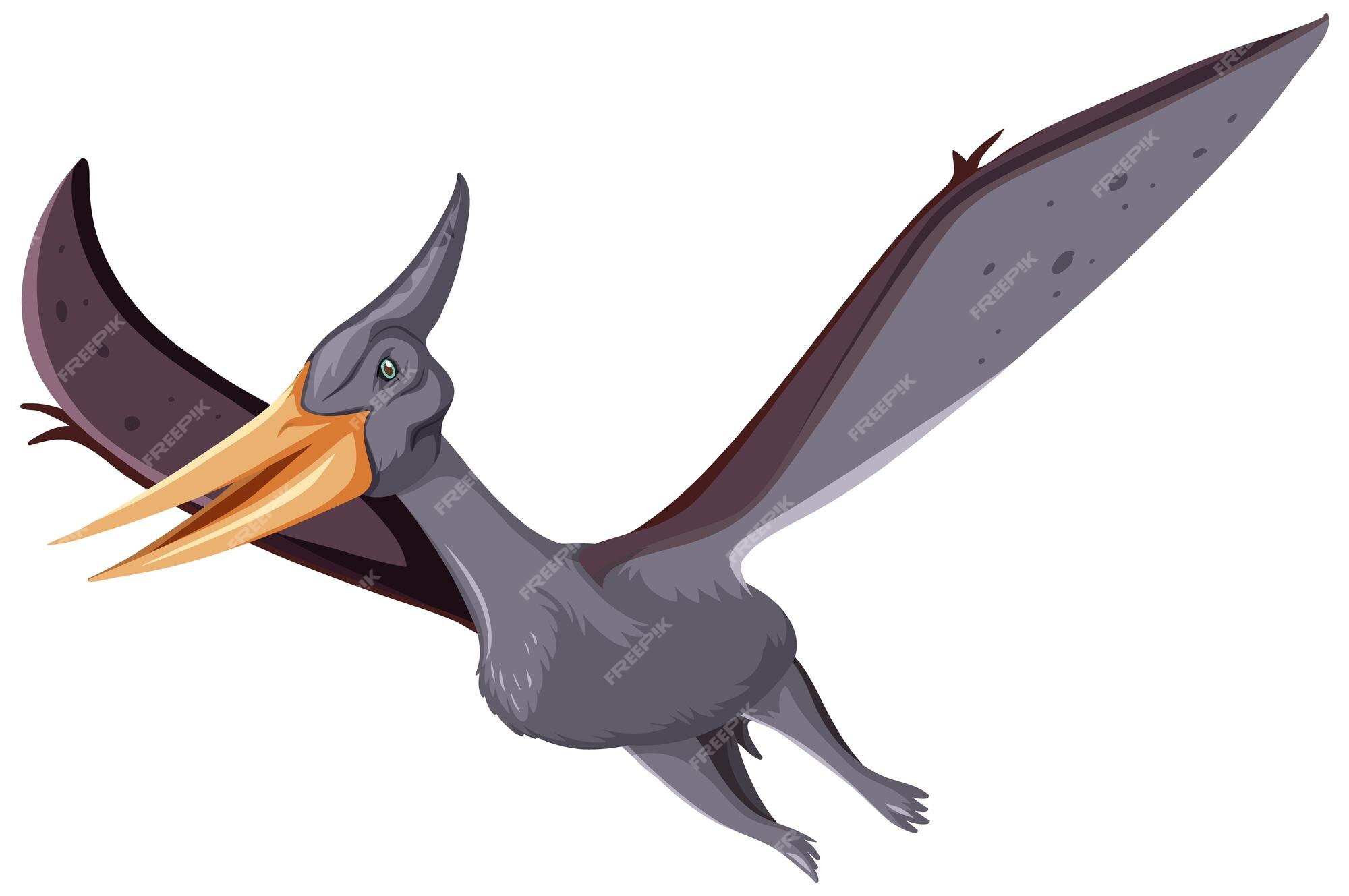 Pteranodon Pterodactyl Dinosaur on white background 8844315 PNG