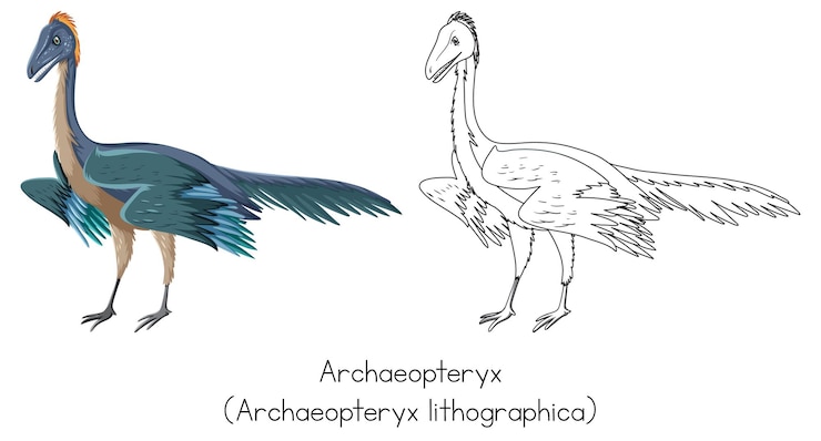 Free Vector dinosaur sketching of archaeopteryx